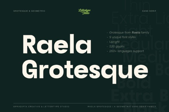 Download Raela Grotesque - Premium Resources